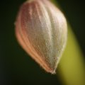 dsc03192