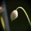 dsc03193