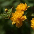 dsc03256