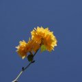 dsc03257