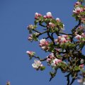 dsc03288