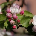 dsc03290