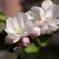dsc03291