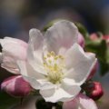 dsc03292