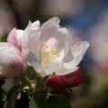 dsc03295