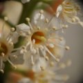 dsc03437