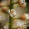 dsc03438