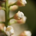 dsc03439