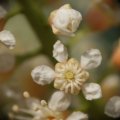 dsc03448