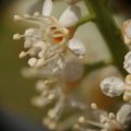 dsc03450