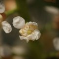 dsc03453