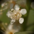 dsc03455