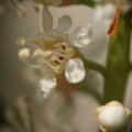 dsc03456