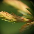 dsc03470