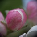 dsc03493