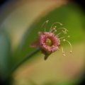 dsc03518