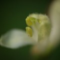 dsc03593