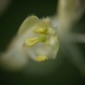 dsc03594