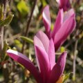 dsc03603