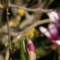 dsc03606
