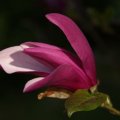 dsc03615