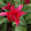 dsc03640