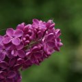 dsc03708