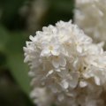 dsc03715