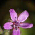 dsc03947