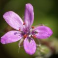 dsc03951