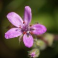 dsc03952