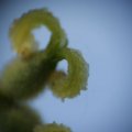 dsc03953