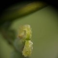 dsc03959