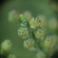 dsc04010