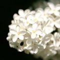 dsc04015
