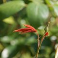 dsc04033