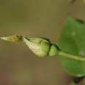 dsc04035