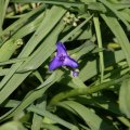 dsc04043