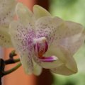dsc04089