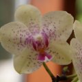 dsc04090