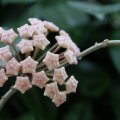 dsc04091