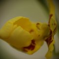 dsc04099