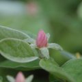 dsc04328