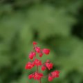 dsc04571