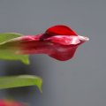 dsc04577