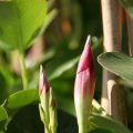dsc04578