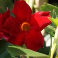 dsc04581