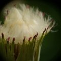 dsc04627
