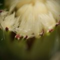 dsc04630