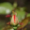 dsc04640